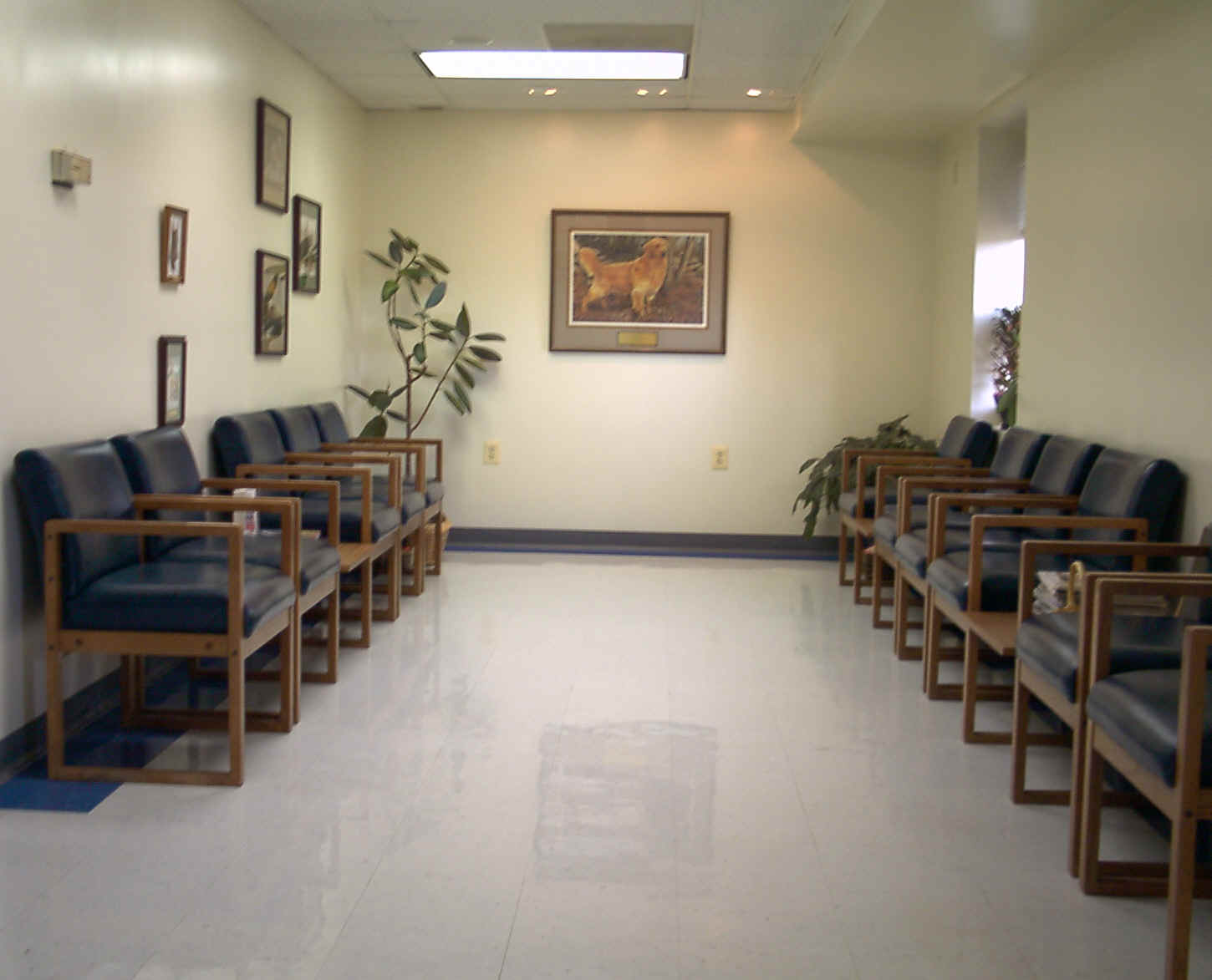 Adams Mill Veterinary Hospital